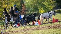 Photo n 50360&#10;Lignires CdF 2020 photo MGPY Mlanie Guillamot&#10;Charlotte Gonzalvs&#10;Affiche 21 fois&#10;Ajoute le 19/10/2020 12:05:04 par JeanClaudeGrognet&#10;&#10;--> Cliquer pour agrandir <--