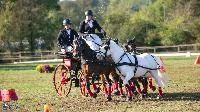 Photo n 50363&#10;Lignires CdF 2020 photo MGPY Mlanie Guillamot&#10;Charlotte Gonzalvs&#10;Affiche 24 fois&#10;Ajoute le 19/10/2020 12:05:04 par JeanClaudeGrognet&#10;&#10;--> Cliquer pour agrandir <--