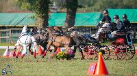 Photo n 50364&#10;Lignires CdF 2020 photo MGPY Mlanie Guillamot&#10;Charlotte Gonzalvs&#10;Affiche 14 fois&#10;Ajoute le 19/10/2020 12:05:04 par JeanClaudeGrognet&#10;&#10;--> Cliquer pour agrandir <--