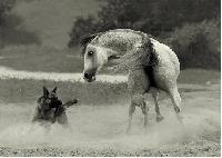 Photo n 50407&#10;Auteur inconnu&#10;&#10;Affiche 7 fois&#10;Ajoute le 04/01/2021 10:35:43 par JeanClaudeGrognet&#10;&#10;--> Cliquer pour agrandir <--