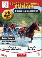 Photo n 50493&#10;CHOLET&#10;&#10;Affiche 7 fois&#10;Ajoute le 08/06/2021 16:38:08 par Caleche&#10;&#10;--> Cliquer pour agrandir <--