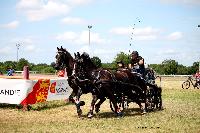 Photo n 50678&#10;LISIEUX Juin 2021 Photo Nadine TOUDIC&#10;Daniel DIMER&#10;Affiche 15 fois&#10;Ajoute le 24/06/2021 17:48:13 par Nadinetoudic&#10;&#10;--> Cliquer pour agrandir <--