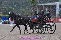 Photo n 50917&#10;MARIE SCHILTZ&#10;&#10;Affiche 13 fois&#10;Ajoute le 24/08/2021 09:58:39 par JeanClaudeGrognet&#10;&#10;--> Cliquer pour agrandir <--