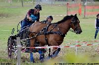 Photo n 50932&#10;Mr Gibon&#10;&#10;Affiche 10 fois&#10;Ajoute le 24/09/2021 13:14:31 par JeanClaudeGrognet&#10;&#10;--> Cliquer pour agrandir <--
