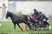 Photo n 50939&#10;Mme Gibon&#10;&#10;Affiche 8 fois&#10;Ajoute le 24/09/2021 13:14:31 par JeanClaudeGrognet&#10;&#10;--> Cliquer pour agrandir <--