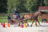 Photo n 50960&#10;Champ. Normandie 2021 LE PIN. Photo Nadine TOUDIC&#10;Eric LAVILLE&#10;Affiche 10 fois&#10;Ajoute le 28/09/2021 15:07:49 par Nadinetoudic&#10;&#10;--> Cliquer pour agrandir <--