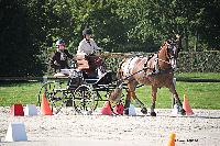 Photo n 50962&#10;Champ. Normandie 2021 LE PIN. Photo Nadine TOUDIC&#10;Sabine GUERIN&#10;Affiche 7 fois&#10;Ajoute le 28/09/2021 15:07:49 par Nadinetoudic&#10;&#10;--> Cliquer pour agrandir <--