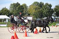 Photo n 50966&#10;Champ. Normandie 2021 LE PIN. Photo Nadine TOUDIC&#10;Emmanuelle DESGARDIN&#10;Affiche 10 fois&#10;Ajoute le 28/09/2021 15:07:50 par Nadinetoudic&#10;&#10;--> Cliquer pour agrandir <--
