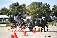 Photo n° 50966
Champ. Normandie 2021 LE PIN. Photo Nadine TOUDIC
Emmanuelle DESGARDIN
Affichée 8 fois
Ajoutée le 28/09/2021 15:07:50 par Nadinetoudic

--> Cliquer pour agrandir <--