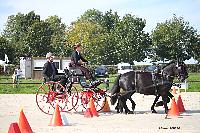 Photo n 50967&#10;Champ. Normandie 2021 LE PIN. Photo Nadine TOUDIC&#10;Emmanuelle DESGARDIN&#10;Affiche 9 fois&#10;Ajoute le 28/09/2021 15:07:50 par Nadinetoudic&#10;&#10;--> Cliquer pour agrandir <--