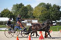 Photo n 50968&#10;Champ. Normandie 2021 LE PIN. Photo Nadine TOUDIC&#10;Marc MENET&#10;Affiche 11 fois&#10;Ajoute le 28/09/2021 15:07:50 par Nadinetoudic&#10;&#10;--> Cliquer pour agrandir <--