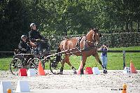 Photo n° 50972
Champ. Normandie 2021 LE PIN. Photo Nadine TOUDIC
Anthony MARTIN
Affichée 12 fois
Ajoutée le 28/09/2021 15:07:50 par Nadinetoudic

--> Cliquer pour agrandir <--