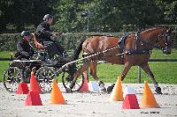 Photo n 50973&#10;Champ. Normandie 2021 LE PIN. Photo Nadine TOUDIC&#10;Anthony MARTIN&#10;Affiche 8 fois&#10;Ajoute le 28/09/2021 15:07:50 par Nadinetoudic&#10;&#10;--> Cliquer pour agrandir <--