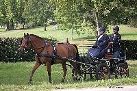 Photo n 50974&#10;Champ. Normandie 2021 LE PIN. Photo Nadine TOUDIC&#10;Thierry GOUPIL&#10;Affiche 11 fois&#10;Ajoute le 28/09/2021 15:20:48 par Nadinetoudic&#10;&#10;--> Cliquer pour agrandir <--
