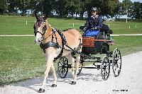 Photo n 50975&#10;Champ. Normandie 2021 LE PIN. Photo Nadine TOUDIC&#10;Clment RIQUIER&#10;Affiche 17 fois&#10;Ajoute le 28/09/2021 15:20:48 par Nadinetoudic&#10;&#10;--> Cliquer pour agrandir <--