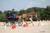 Photo n 50977&#10;Champ. Normandie 2021 LE PIN. Photo Nadine TOUDIC&#10;Clment RIQUIER&#10;Affiche 21 fois&#10;Ajoute le 28/09/2021 15:20:48 par Nadinetoudic&#10;&#10;--> Cliquer pour agrandir <--