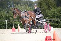 Photo n 50980&#10;Champ. Normandie 2021 LE PIN. Photo Nadine TOUDIC&#10;Antoine HUCHET&#10;Affiche 12 fois&#10;Ajoute le 28/09/2021 15:20:49 par Nadinetoudic&#10;&#10;--> Cliquer pour agrandir <--