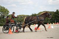 Photo n 50983&#10;Champ. Normandie 2021 LE PIN. Photo Nadine TOUDIC&#10;Carole SIMON&#10;Affiche 11 fois&#10;Ajoute le 28/09/2021 15:20:49 par Nadinetoudic&#10;&#10;--> Cliquer pour agrandir <--