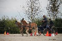 Photo n 50987&#10;Champ. Normandie 2021 LE PIN. Photo Nadine TOUDIC&#10;Eric BRIERE&#10;Affiche 12 fois&#10;Ajoute le 28/09/2021 15:20:49 par Nadinetoudic&#10;&#10;--> Cliquer pour agrandir <--