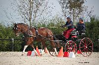 Photo n 50992&#10;Champ. Normandie 2021 LE PIN. Photo Nadine TOUDIC&#10;Thierry LAFFITTE&#10;Affiche 15 fois&#10;Ajoute le 28/09/2021 15:31:46 par Nadinetoudic&#10;&#10;--> Cliquer pour agrandir <--