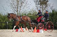 Photo n° 50992
Champ. Normandie 2021 LE PIN. Photo Nadine TOUDIC
Thierry LAFFITTE
Affichée 13 fois
Ajoutée le 28/09/2021 15:31:46 par Nadinetoudic

--> Cliquer pour agrandir <--