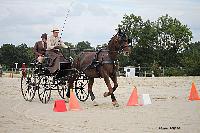 Photo n 50997&#10;Champ. Normandie 2021 LE PIN. Photo Nadine TOUDIC&#10;Alexandre THIBAUDEAU&#10;Affiche 12 fois&#10;Ajoute le 28/09/2021 15:31:46 par Nadinetoudic&#10;&#10;--> Cliquer pour agrandir <--