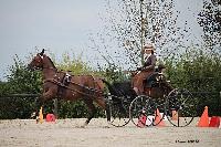 Photo n 50998&#10;Champ. Normandie 2021 LE PIN. Photo Nadine TOUDIC&#10;Franoise DUBOS&#10;Affiche 12 fois&#10;Ajoute le 28/09/2021 15:31:46 par Nadinetoudic&#10;&#10;--> Cliquer pour agrandir <--