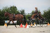 Photo n 50999&#10;Champ. Normandie 2021 LE PIN. Photo Nadine TOUDIC&#10;Franoise DUBOS&#10;Affiche 12 fois&#10;Ajoute le 28/09/2021 15:31:46 par Nadinetoudic&#10;&#10;--> Cliquer pour agrandir <--