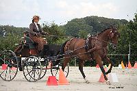 Photo n 51000&#10;Champ. Normandie 2021 LE PIN. Photo Nadine TOUDIC&#10;Franoise DUBOS&#10;Affiche 23 fois&#10;Ajoute le 28/09/2021 15:31:46 par Nadinetoudic&#10;&#10;--> Cliquer pour agrandir <--