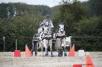 Photo n 51009&#10;Champ. Normandie 2021 LE PIN. Photo Nadine TOUDIC&#10;Pnlope BROOKE&#10;Affiche 12 fois&#10;Ajoute le 28/09/2021 15:31:47 par Nadinetoudic&#10;&#10;--> Cliquer pour agrandir <--