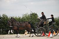 Photo n 51018&#10;Champ. Normandie 2021 LE PIN. Photo Nadine TOUDIC&#10;Fabien GUILLEMARRE&#10;Affiche 7 fois&#10;Ajoute le 28/09/2021 15:37:53 par Nadinetoudic&#10;&#10;--> Cliquer pour agrandir <--