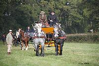 Photo n 51022&#10;La tradition aux courses du Pin au Haras. 2021 &#10;Photo Nadine TOUDIC&#10;Affiche 7 fois&#10;Ajoute le 13/10/2021 11:23:18 par Nadinetoudic&#10;&#10;--> Cliquer pour agrandir <--