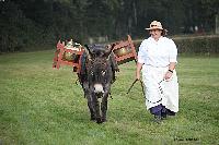 Photo n 51026&#10;La tradition aux courses du Pin au Haras. 2021 &#10;Photo Nadine TOUDIC&#10;Affiche 20 fois&#10;Ajoute le 13/10/2021 11:23:18 par Nadinetoudic&#10;&#10;--> Cliquer pour agrandir <--