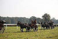 Photo n 51027&#10;La tradition aux courses du Pin au Haras. 2021 &#10;Photo Nadine TOUDIC&#10;Affiche 13 fois&#10;Ajoute le 13/10/2021 11:23:18 par Nadinetoudic&#10;&#10;--> Cliquer pour agrandir <--