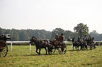 Photo n° 51027
La tradition aux courses du Pin au Haras. 2021 
Photo Nadine TOUDIC
Affichée 11 fois
Ajoutée le 13/10/2021 11:23:18 par Nadinetoudic

--> Cliquer pour agrandir <--