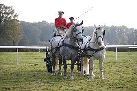 Photo n 51028&#10;La tradition aux courses du Pin au Haras. 2021 &#10;Anthony GOHIER avec un Petit Break des HN attel  des Percherons en Paire
Photo Nadine TOUDIC&#10;Affiche 20 fois&#10;Ajoute le 13/10/2021 11:28:31 par Nadinetoudic&#10;&#10;--> Cliquer pour agrandir <--