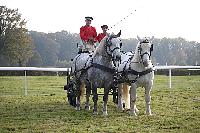 Photo n° 51028
La tradition aux courses du Pin au Haras. 2021 
Anthony GOHIER avec un Petit Break des HN attelé à des Percherons en Paire
Photo Nadine TOUDIC
Affichée 18 fois
Ajoutée le 13/10/2021 11:28:31 par Nadinetoudic

--> Cliquer pour agrandir <--