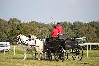 Photo n 51030&#10;La tradition aux courses du Pin au Haras. 2021 &#10;Anthony GOHIER avec un Petit Break des HN attel  des Percherons en Paire
Photo Nadine TOUDIC&#10;Affiche 6 fois&#10;Ajoute le 13/10/2021 11:28:31 par Nadinetoudic&#10;&#10;--> Cliquer pour agrandir <--