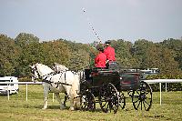 Photo n° 51030
La tradition aux courses du Pin au Haras. 2021 
Anthony GOHIER avec un Petit Break des HN attelé à des Percherons en Paire
Photo Nadine TOUDIC
Affichée 4 fois
Ajoutée le 13/10/2021 11:28:31 par Nadinetoudic

--> Cliquer pour agrandir <--