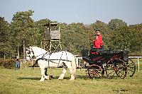 Photo n 51032&#10;La tradition aux courses du Pin au Haras. 2021 &#10;Anthony GOHIER avec un Petit Break des HN attel  des Percherons en Paire
Photo Nadine TOUDIC&#10;Affiche 17 fois&#10;Ajoute le 13/10/2021 11:28:31 par Nadinetoudic&#10;&#10;--> Cliquer pour agrandir <--