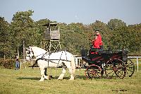 Photo n° 51032
La tradition aux courses du Pin au Haras. 2021 
Anthony GOHIER avec un Petit Break des HN attelé à des Percherons en Paire
Photo Nadine TOUDIC
Affichée 16 fois
Ajoutée le 13/10/2021 11:28:31 par Nadinetoudic

--> Cliquer pour agrandir <--