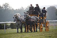 Photo n 51035&#10;La tradition aux courses du Pin au Haras. 2021 &#10;Patrice BIGET avec un Grand Break de chasse attel  une paire de Percherons
Photo Nadine TOUDIC&#10;Affiche 15 fois&#10;Ajoute le 13/10/2021 11:35:03 par Nadinetoudic&#10;&#10;--> Cliquer pour agrandir <--