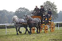 Photo n 51036&#10;La tradition aux courses du Pin au Haras. 2021 &#10;Patrice BIGET avec un Grand Break de chasse attel  une paire de Percherons
Photo Nadine TOUDIC&#10;Affiche 7 fois&#10;Ajoute le 13/10/2021 11:35:03 par Nadinetoudic&#10;&#10;--> Cliquer pour agrandir <--