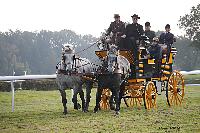 Photo n 51038&#10;La tradition aux courses du Pin au Haras. 2021 &#10;Patrice BIGET avec un Grand Break de chasse attel  une paire de Percherons
Photo Nadine TOUDIC&#10;Affiche 7 fois&#10;Ajoute le 13/10/2021 11:35:03 par Nadinetoudic&#10;&#10;--> Cliquer pour agrandir <--
