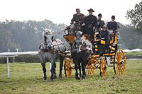 Photo n 51039&#10;La tradition aux courses du Pin au Haras. 2021 &#10;Patrice BIGET avec un Grand Break de chasse attel  une paire de Percherons
Photo Nadine TOUDIC&#10;Affiche 6 fois&#10;Ajoute le 13/10/2021 11:35:03 par Nadinetoudic&#10;&#10;--> Cliquer pour agrandir <--
