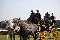 Photo n 51041&#10;La tradition aux courses du Pin au Haras. 2021 &#10;Patrice BIGET avec un Grand Break de chasse attel  une paire de Percherons
Photo Nadine TOUDIC&#10;Affiche 8 fois&#10;Ajoute le 13/10/2021 11:35:03 par Nadinetoudic&#10;&#10;--> Cliquer pour agrandir <--
