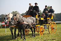 Photo n 51042&#10;La tradition aux courses du Pin au Haras. 2021 &#10;Patrice BIGET avec un Grand Break de chasse attel  une paire de Percherons
Photo Nadine TOUDIC&#10;Affiche 11 fois&#10;Ajoute le 13/10/2021 11:35:03 par Nadinetoudic&#10;&#10;--> Cliquer pour agrandir <--
