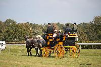 Photo n 51043&#10;La tradition aux courses du Pin au Haras. 2021 &#10;Patrice BIGET avec un Grand Break de chasse attel  une paire de Percherons
Photo Nadine TOUDIC&#10;Affiche 5 fois&#10;Ajoute le 13/10/2021 11:35:04 par Nadinetoudic&#10;&#10;--> Cliquer pour agrandir <--