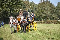 Photo n 51044&#10;La tradition aux courses du Pin au Haras. 2021 &#10;Patrice BIGET avec un Grand Break de chasse attel  une paire de Percherons
Photo Nadine TOUDIC&#10;Affiche 6 fois&#10;Ajoute le 13/10/2021 11:35:04 par Nadinetoudic&#10;&#10;--> Cliquer pour agrandir <--