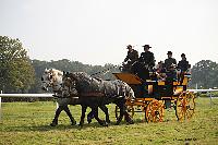 Photo n 51046&#10;La tradition aux courses du Pin au Haras. 2021 &#10;Patrice BIGET avec un Grand Break de chasse attel  une paire de Percherons
Photo Nadine TOUDIC&#10;Affiche 5 fois&#10;Ajoute le 13/10/2021 11:35:04 par Nadinetoudic&#10;&#10;--> Cliquer pour agrandir <--